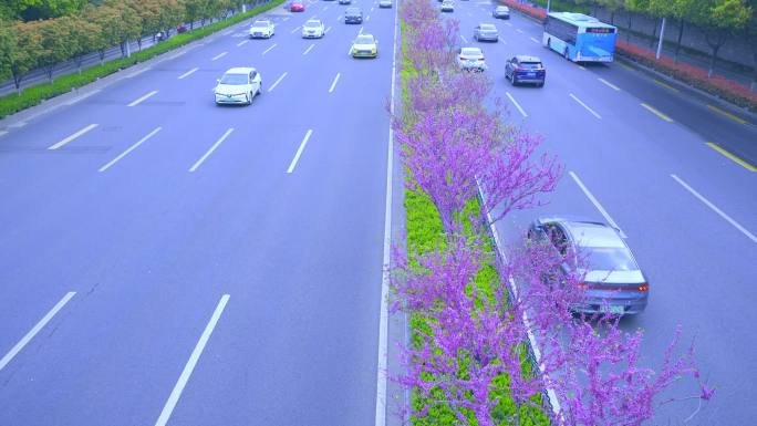 高速路上的延时车来车往