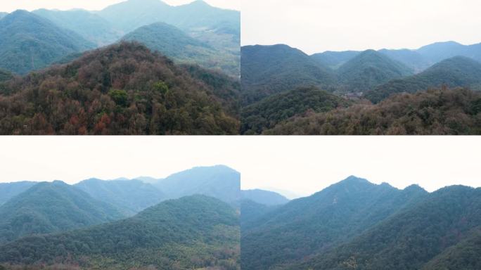 飞来峰 西湖 杭州 风景 飞来峰景区