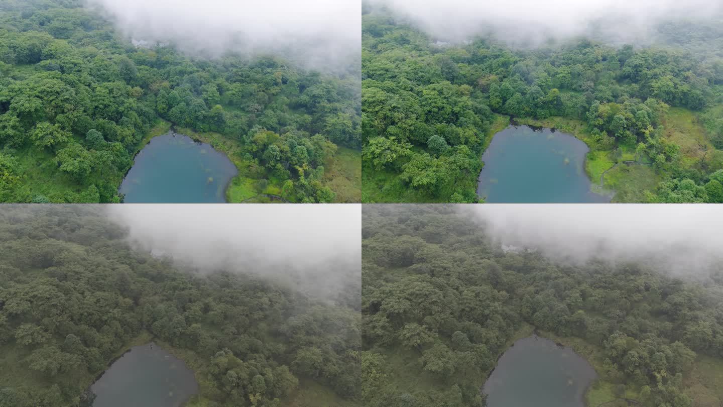 航拍4K清晨自然森林河流湖泊春天雾气