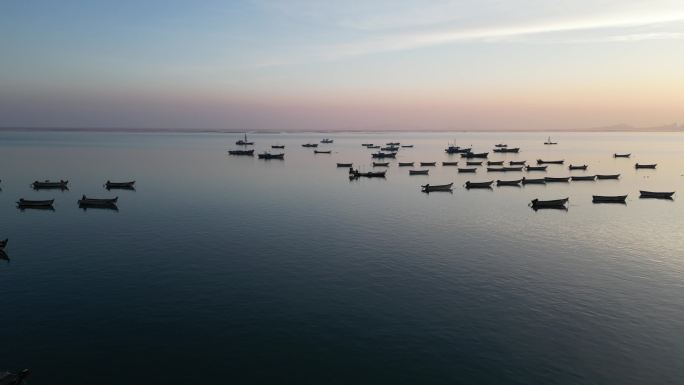 冬季 海滩 天鹅 生态 夕阳