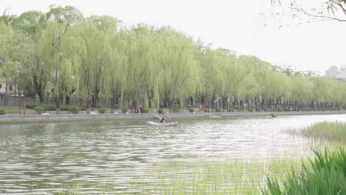 城市人民在水里划皮划艇和河边两岸风景