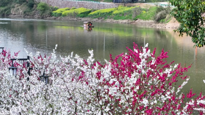 雄村桃花坝游船