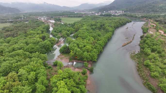 大自然森林天然氧吧绿野仙踪永嘉溪滨公园