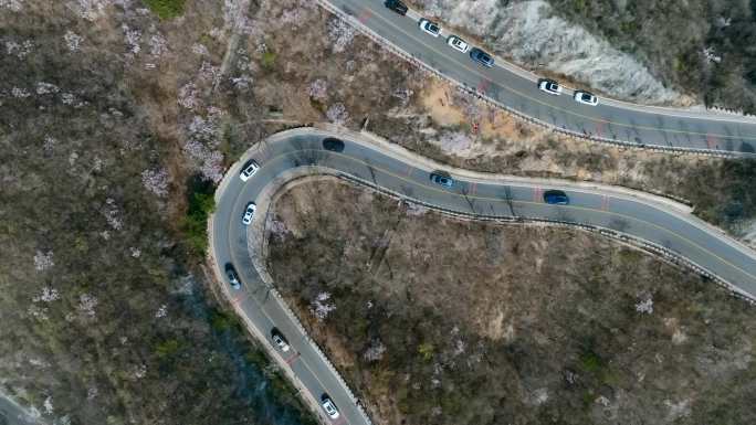 航拍北京延时昌赤路春天山花盛开