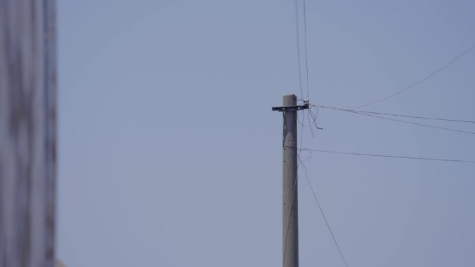 信号塔 电线 小鸟叼虫子 延时空镜 4K
