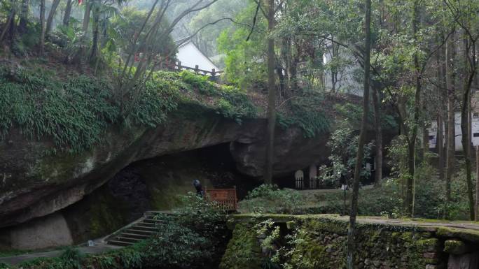 山景 植被 航拍