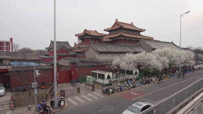 北京雍和宫桃花