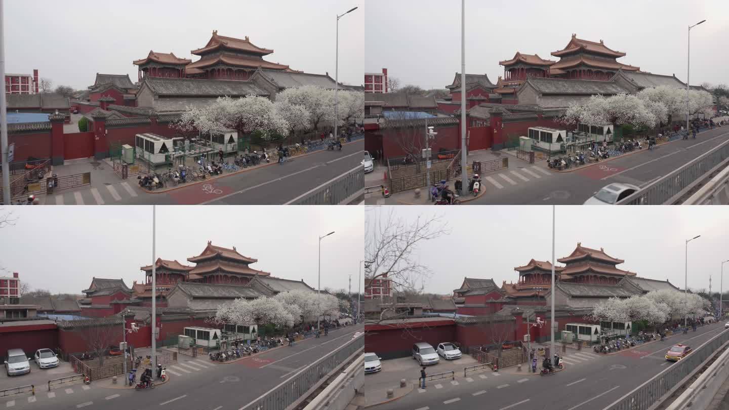 北京雍和宫桃花