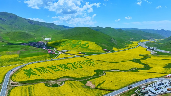 甘肃甘南油菜花美丽乡村