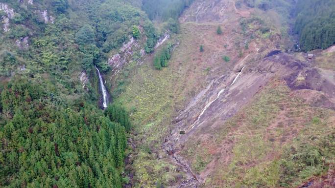 航拍4K清晨自然森林河流春天树林