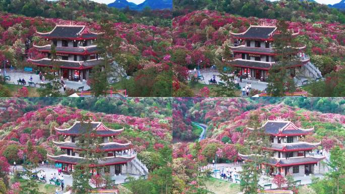 贵州毕节百里杜鹃景区航拍