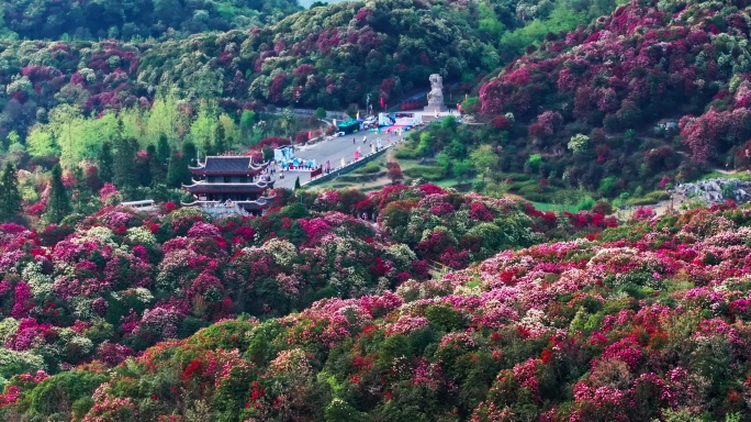 贵州毕节百里杜鹃景区航拍