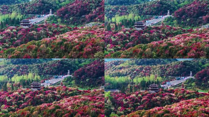 贵州毕节百里杜鹃景区航拍