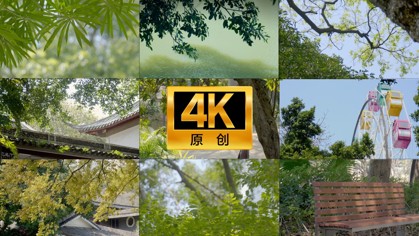 4K城市公园阳光明媚