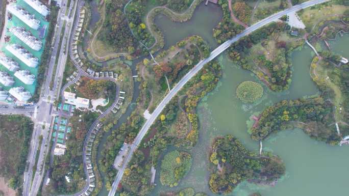 徐州城市风光大龙湖日落夕阳秋季风景航拍