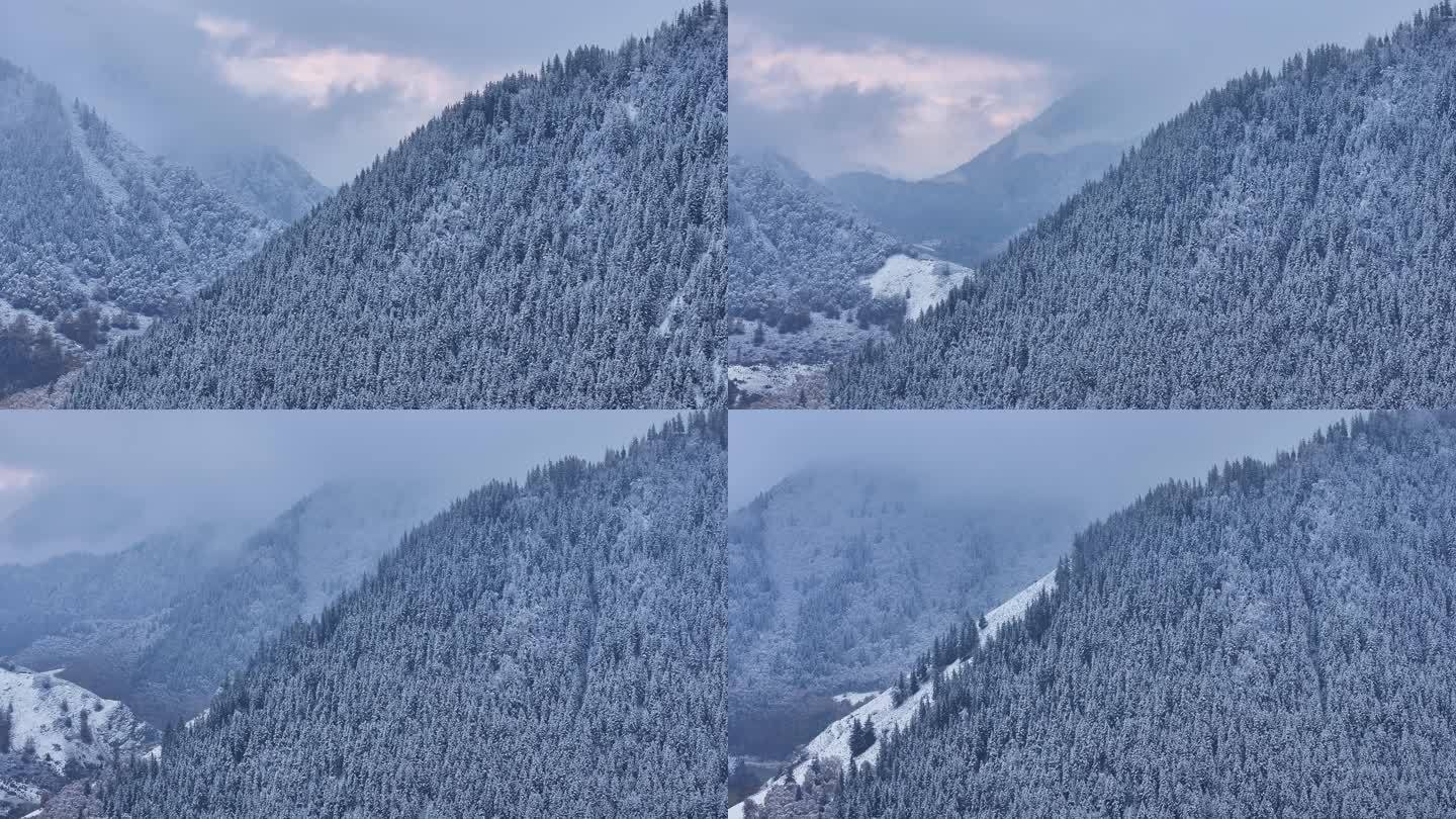 雪山林海