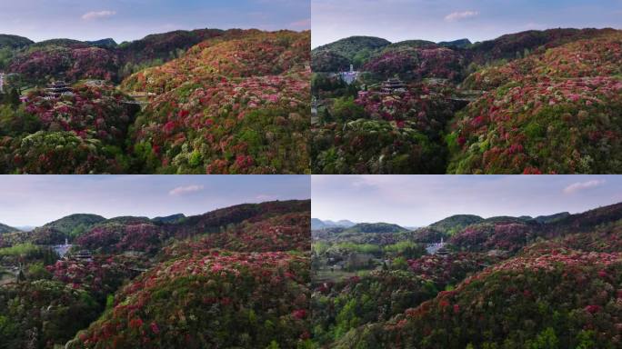 贵州毕节百里杜鹃景区航拍