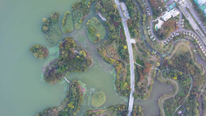 徐州城市风光大龙湖日落夕阳秋季风景航拍