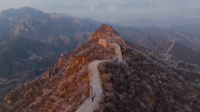 航拍大庄科长城春天山花阳光