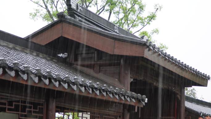 园林春雨  春分谷雨  唯美空镜