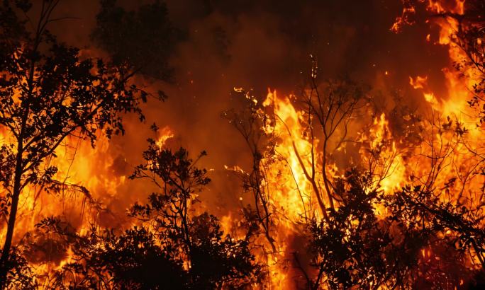 【集合】火灾现场森林火灾大火航拍自然灾害