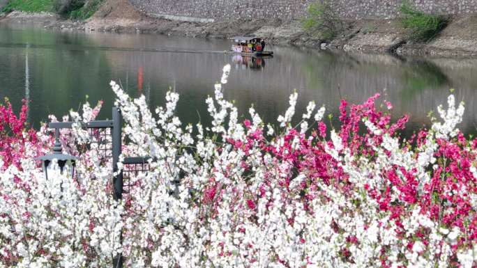 雄村桃花坝游船