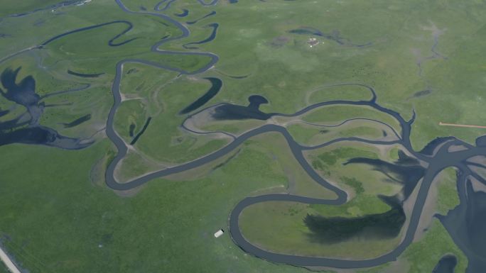 甘肃张掖黄河湿地公园黄河湿地玛曲湿地