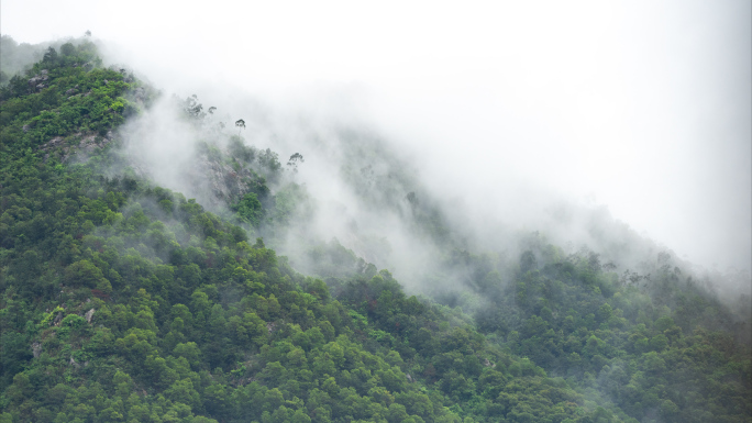 雨后山顶上的雾气流动延时