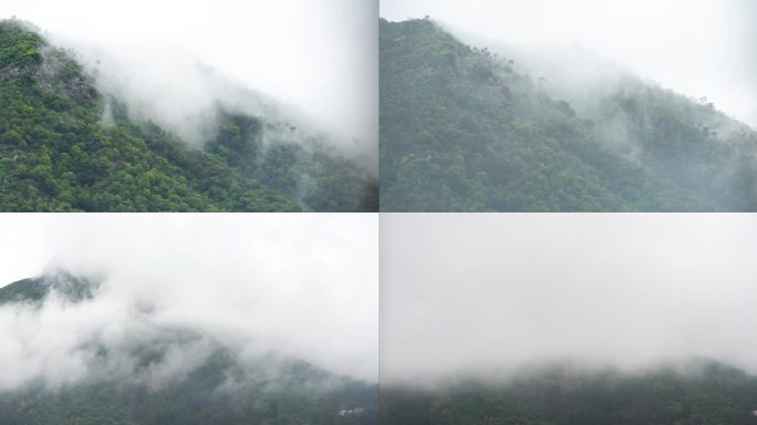 雨后山顶上的雾气流动延时