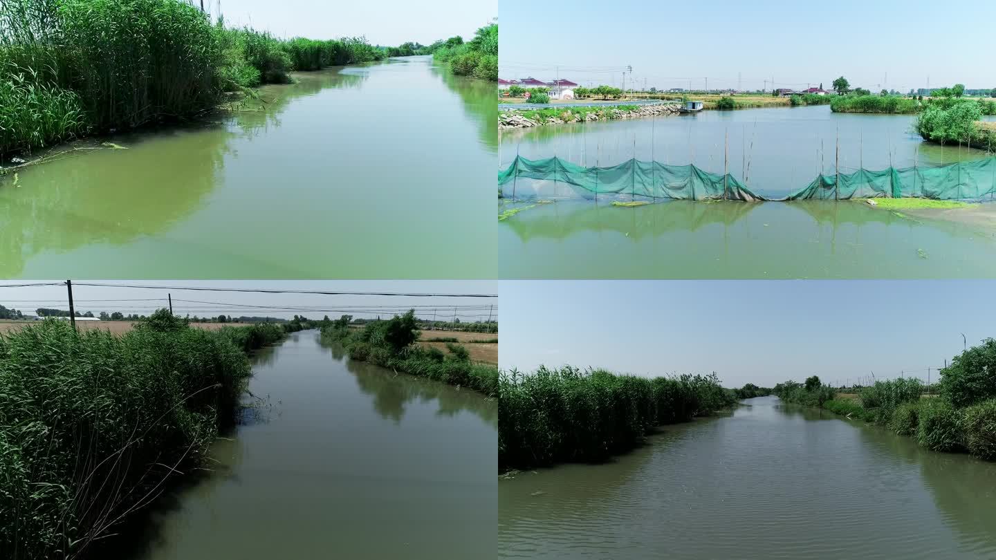 06江南水乡 河水 河道 芦苇荡 航拍