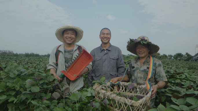 中药材种植丰收到中成药生产合集