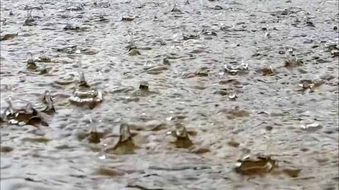 暴雨暴风雨雷雨雷风雨交加