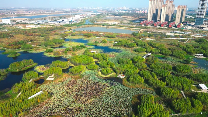 南昌高新区鱼尾洲湿地公园