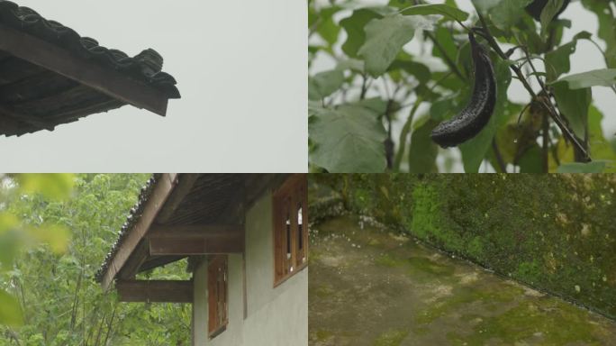 下雨空镜头茄子屋檐水滴雨天