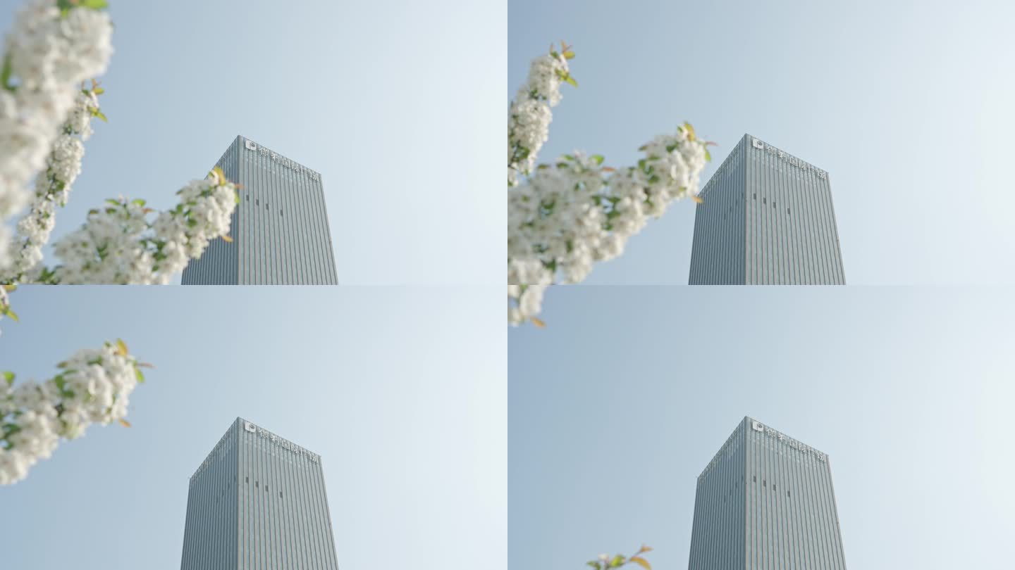 白色花朵和上海嘉定新城凯悦保利国际广场