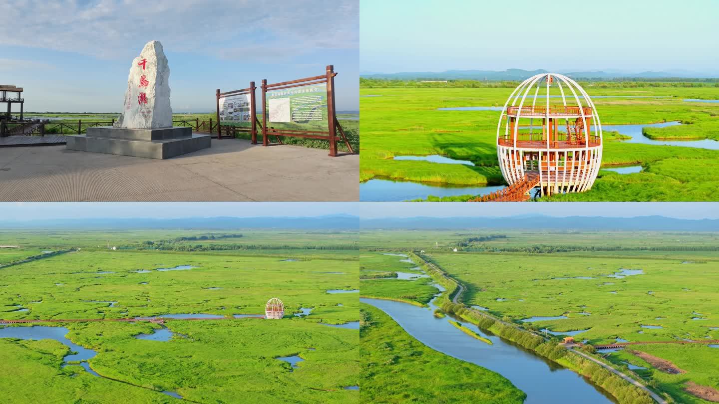 黑龙江千鸟湖湿地保护区航拍鸟类栖息地