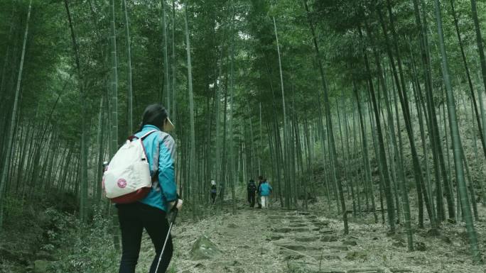 亲子徒步旅行自然户外感受生活森林树林探险