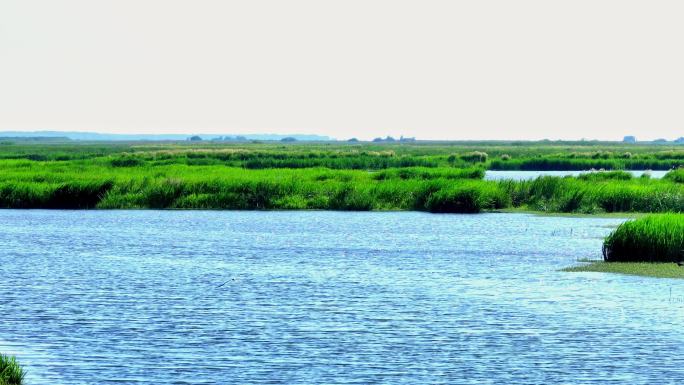湿地自然风光保护区鸟类栖息地野生国家级