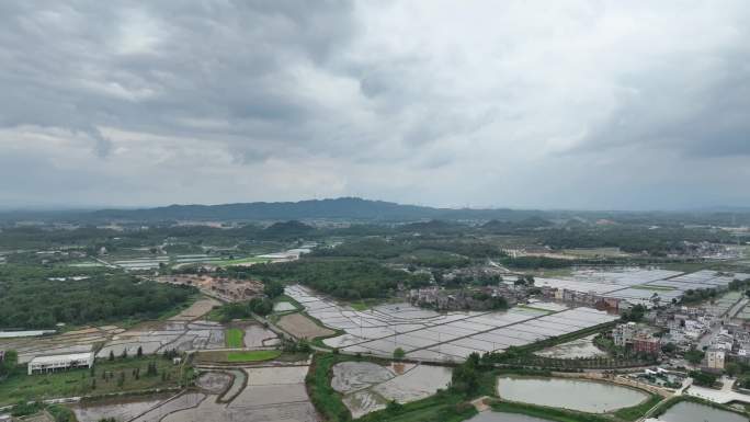 航拍江门开平碉楼文化旅游区 自力村景区