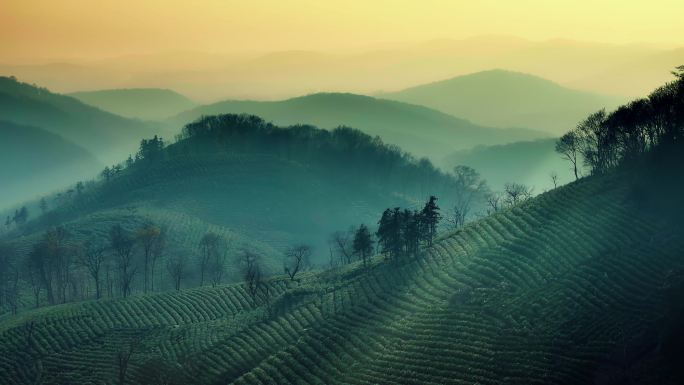 茶山夕阳远景意向航拍中国山水意境光影