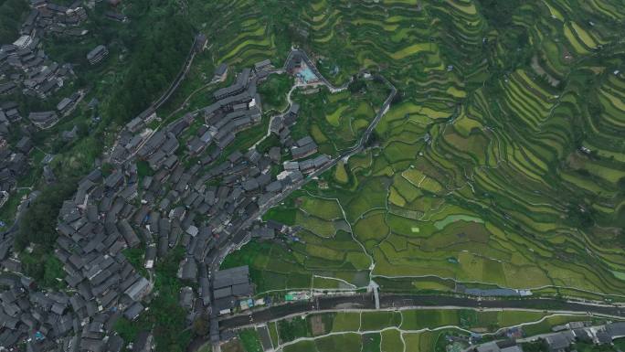 梯田 苗寨 航拍 俯拍 大景 空镜 绿地