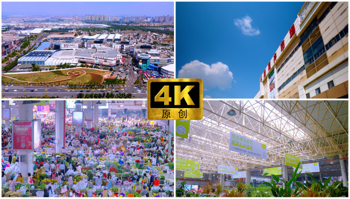 4K原创 2024昆明斗南花市素材合集.