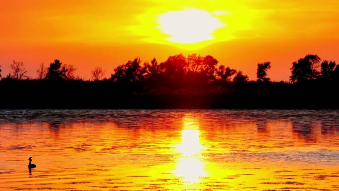 落日余晖夕阳西下湿地鸟嬉戏玩耍湖泊夕阳