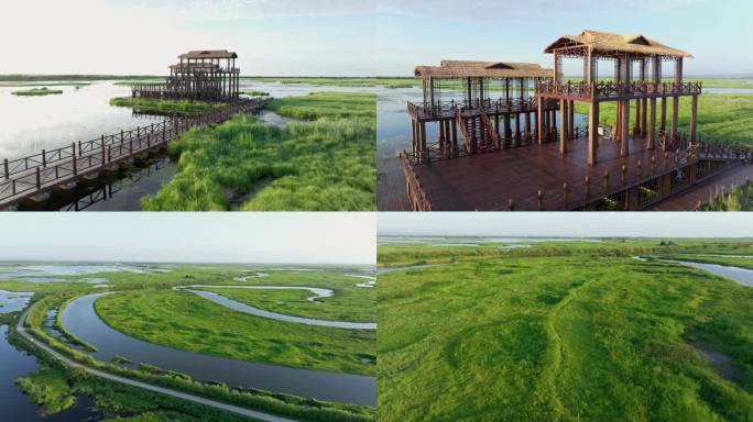 黑龙江湿地航拍千鸟湖湿地保护区自然鸟巢