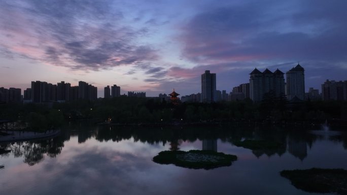 2024年西安兴庆宫公园春天牡丹花绽放