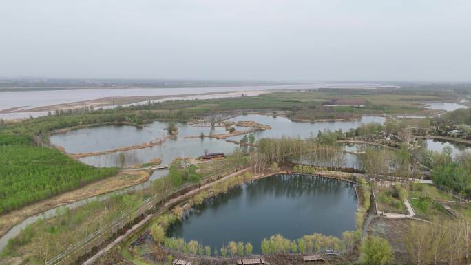 黄河 黄河湿地  湿地 环境保护 生态