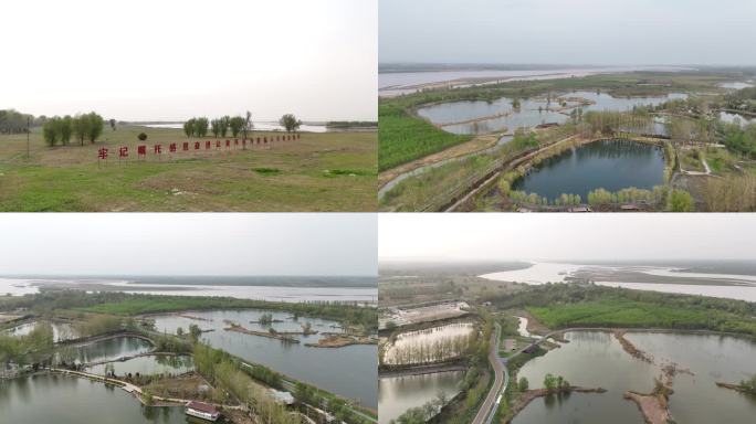 黄河 黄河湿地  湿地 环境保护 生态