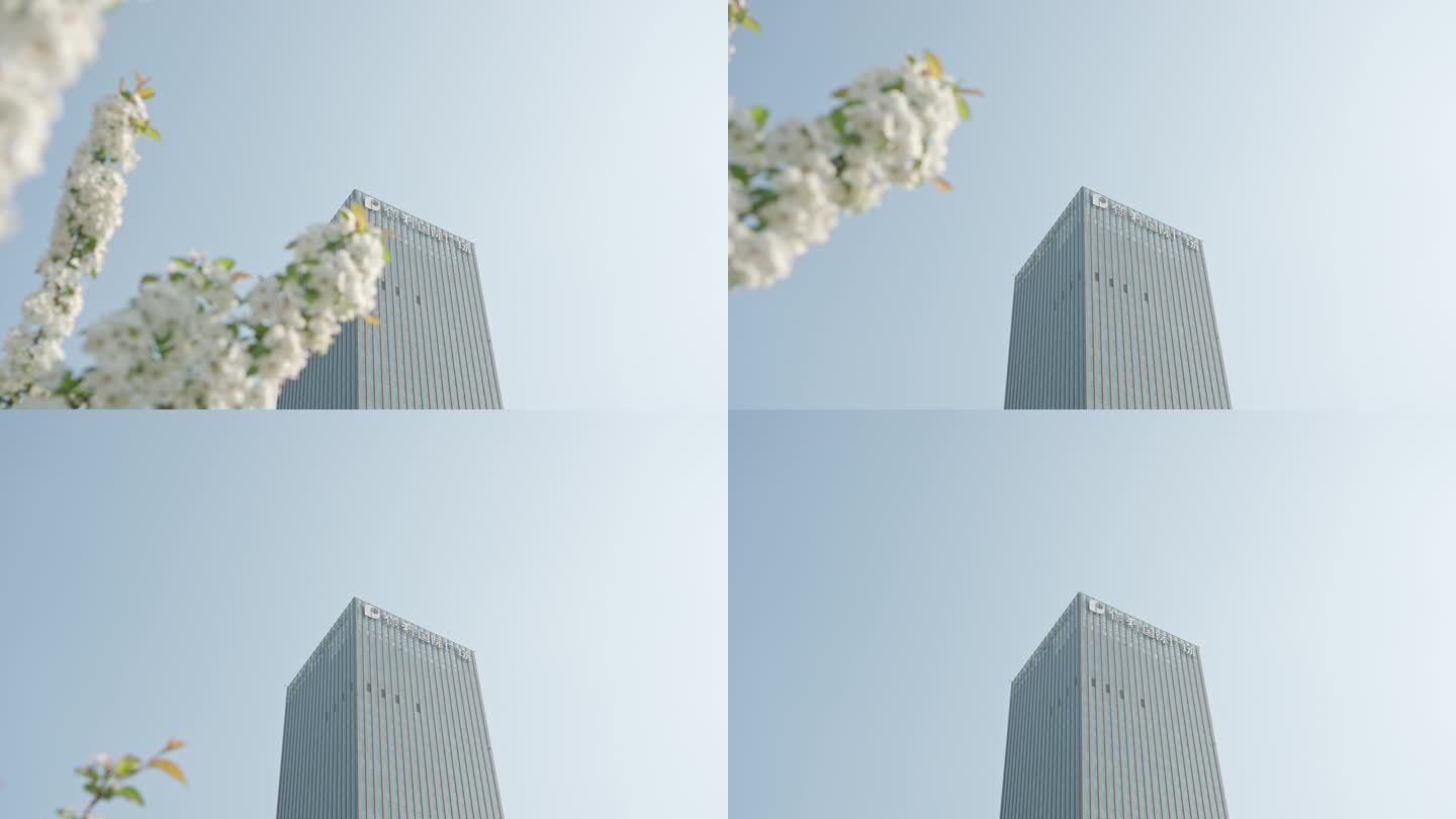 白色花朵和上海嘉定新城凯悦保利国际广场