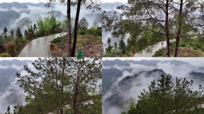 雨后山林