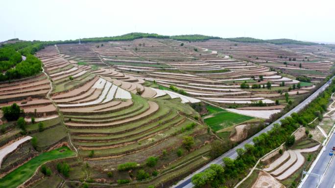 梯田风光多景别航拍